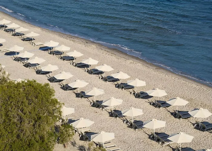 Atlantica マルマリ